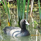 IMG_8072.JPG