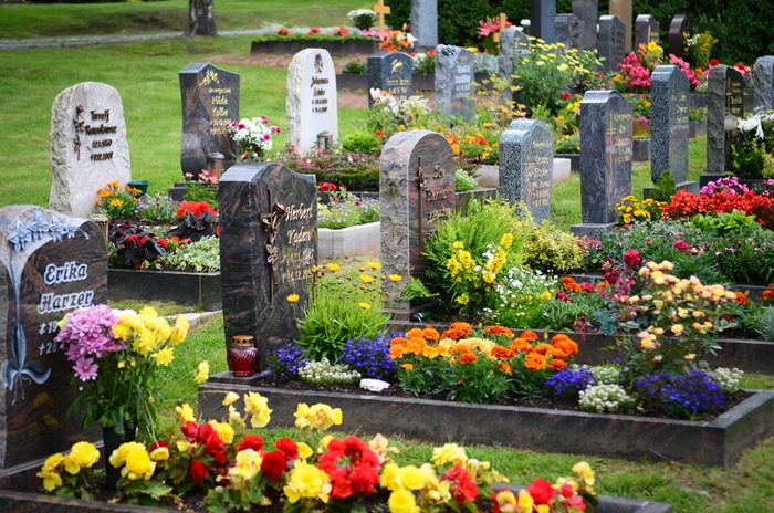 [graveyard2.jpg]