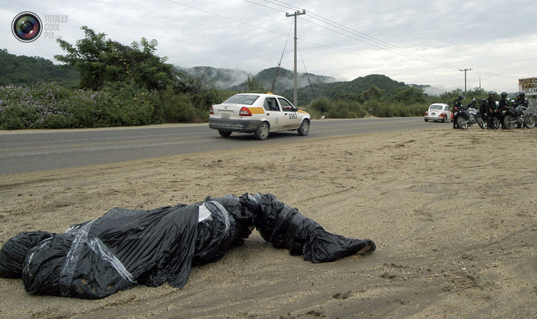 http://lh4.ggpht.com/-IVR9sQR-T_o/URUBxeaddSI/AAAAAAAAJ3k/hnNtXQ-0RW0/s0/acapulco_029.jpg