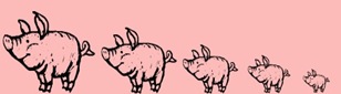 5 Pigs 5 Pigs