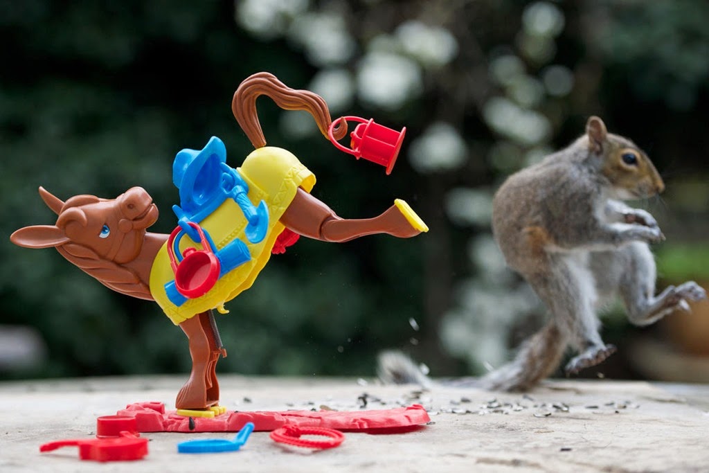 [ab50dc10-d6d8-11e3-8471-4bf369dec2d7_0_CATERS_NUTTY_PHOTOGRAPHER_SQUIRREL_SCENES_01%255B3%255D.jpg]