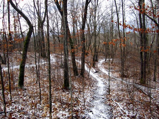 Dusting of snow highlighting the singletrack