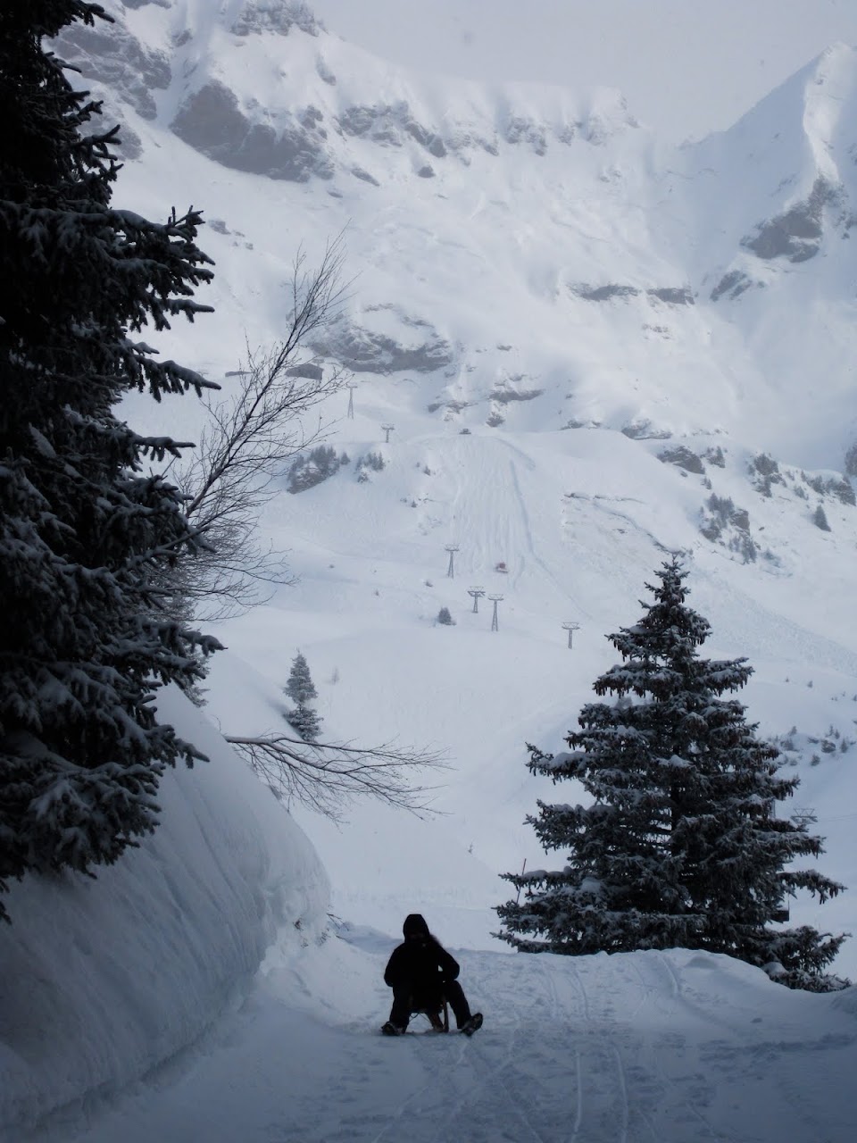 Sledding