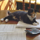 Tess helped me do taxes.