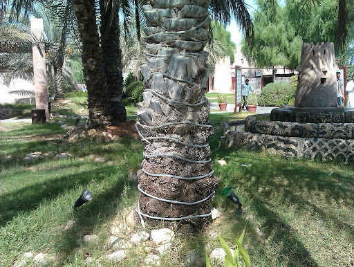 DXB02.jpg
