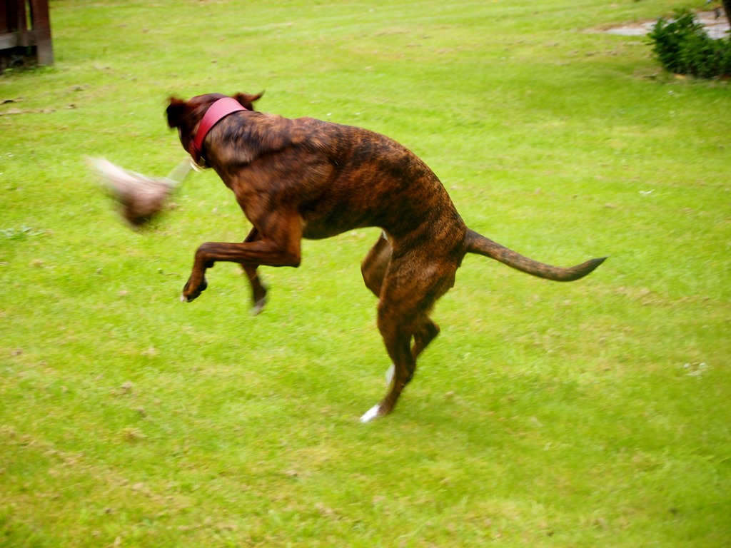 [10%2520June%25205%252009-06-2013%252008-19-45%255B3%255D.jpg]