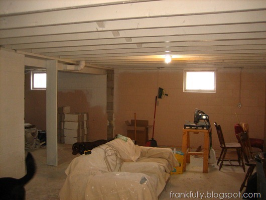 basement in progress