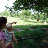 P1000767.JPG