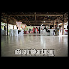 IMG_2667.jpg