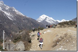 Caminhada para Thamo Caminhada Thamo