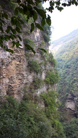 [IMG_2209%255B3%255D.jpg]