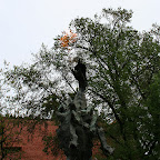 38.jpg 38.jpg