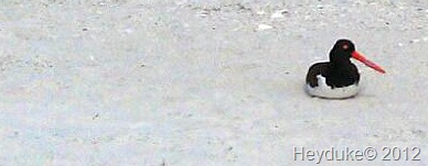 [2012-02-20%2520Lake%2520Manatee%2520State%2520Park%2520012%255B11%255D.jpg]