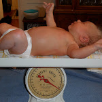 SAM_0460.JPG