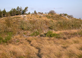 Kojnik