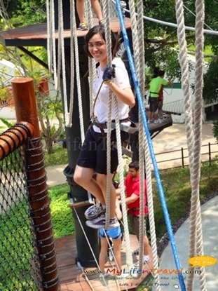Monkey business Escape Monkey business Escape