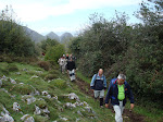 Camiño Francés (Marabio)