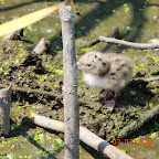 DSCN9520.JPG
