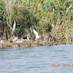 DSCN9490.JPG
