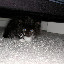 DSCN7709.jpg