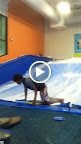 IMG_0046.MOV