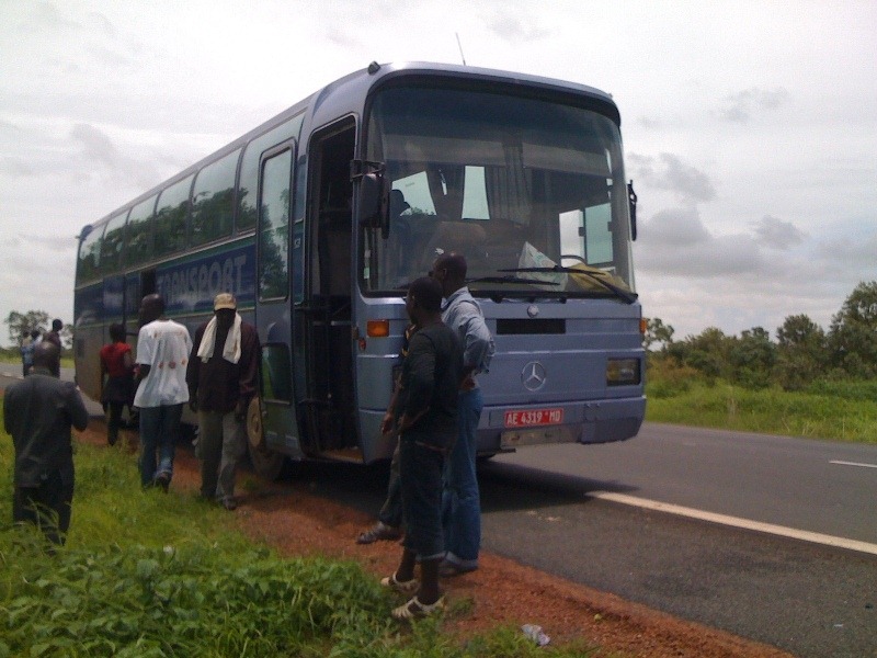[Bani-Bus5.jpg]