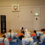 IMG_6275.jpg