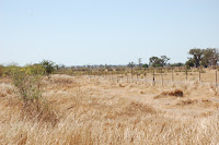 DSC_0027.JPG