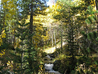 A stream by the path