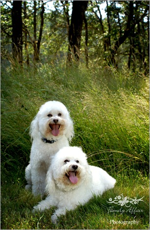 Living Social Portrait Special Family Affair Photography