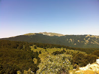 IMG_1449.JPG Photo