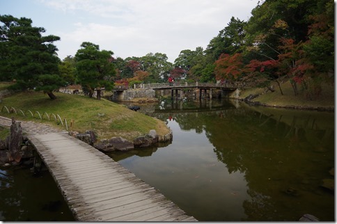 IMGP5892 IMGP5892