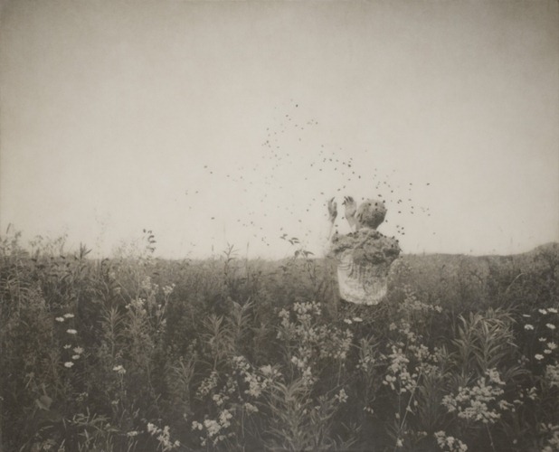 robert and shana parkeharrison 6