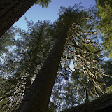 IMG_8780.jpg