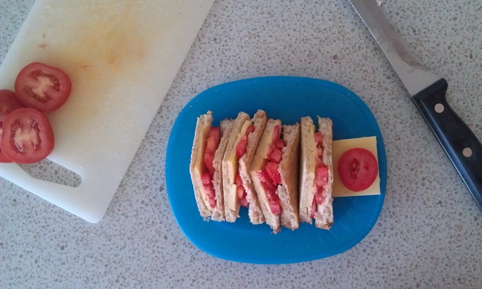 Ms. M's favourite lunch: toatsed cheese and tomato sandwich