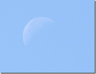 IMG_4496 IMG_4496