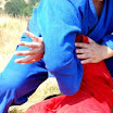 95.jpg