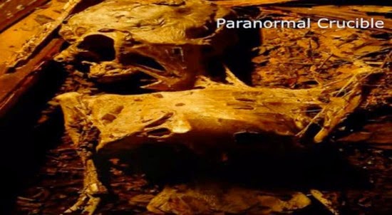 Artefatos alienígenas possíveis-corpos-mumificados-de-ETs