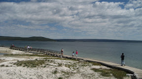 IMG_4145.jpg