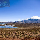 Arica - Parque Nacional Lauca (16 de 48).jpg