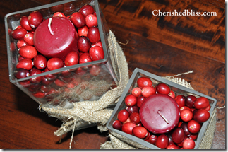 Cranberry Candles