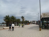 IMG_3036 IMG_3036