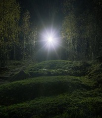 night grass night grass