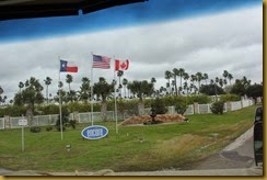 IMG_1862 IMG_1862