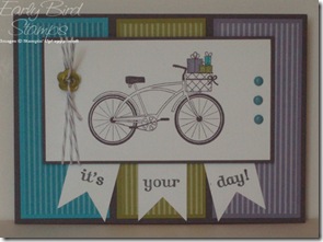 turq-wisteria-bike turq-wisteria-bike