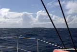 Approaching Lady Musgrave