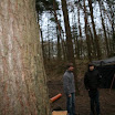 Pfadi-Bezirkslager09010.jpg
