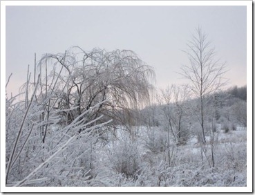 20120127_snow-ice_013 20120127_snow-ice_013
