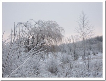 20120127_snow-ice_013