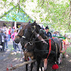 2010_szuret_041.jpg